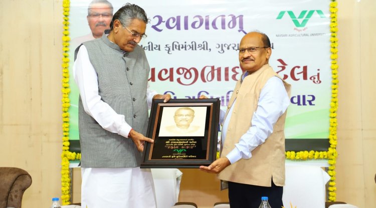 Shri Raghavjibhai Patel, Hon'ble Minister of Agriculture, Animal Husbandry, Cow-Breeding and Fisheries visited NAU Navsari and addressed a large gathering of over 300 teachers, agricultural scientists, and students on August 9, 2024.