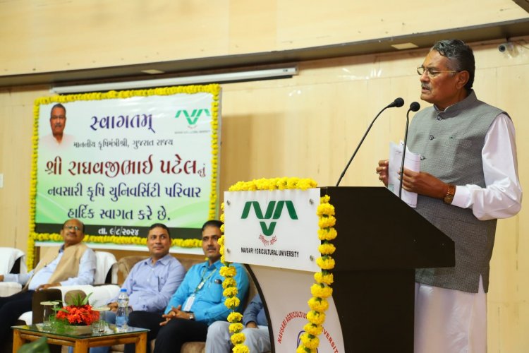 Shri Raghavjibhai Patel, Hon'ble Minister of Agriculture, Animal Husbandry, Cow-Breeding and Fisheries visited NAU Navsari and addressed a large gathering of over 300 teachers, agricultural scientists, and students on August 9, 2024.