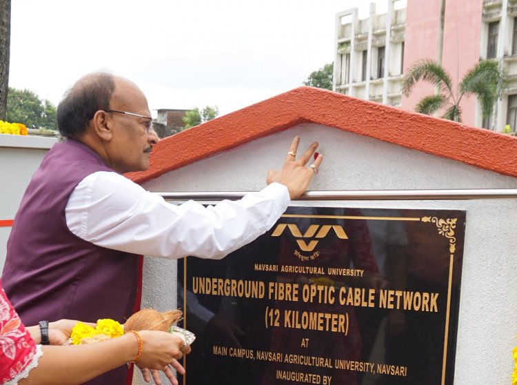 Hon'ble Vice-Chancellor Dr. Z. P. Patel, inaugurated the “UNDERGROUND FIBRE OPTIC CABLE NETWORK (12 km)” at Main Campus of NAU Navsari on August 31, 2024.