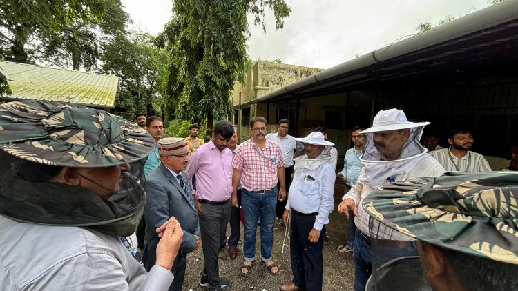 A Quinquennial Review Team (QRT) of All India Coordinated Research Project on Honey Bees & Pollinators, ICAR, New Delhi visited at NAU, Navsari recently.