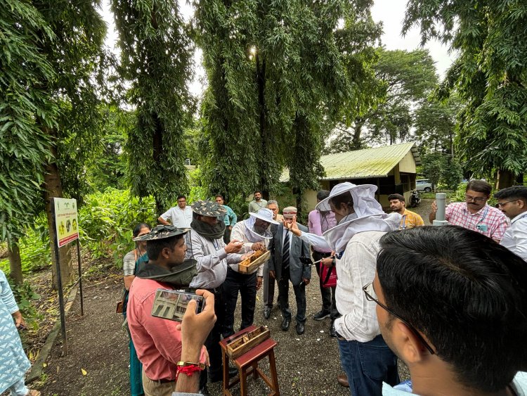 A Quinquennial Review Team (QRT) of All India Coordinated Research Project on Honey Bees & Pollinators, ICAR, New Delhi visited at NAU, Navsari recently.