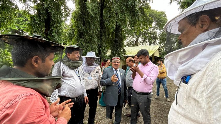 A Quinquennial Review Team (QRT) of All India Coordinated Research Project on Honey Bees & Pollinators, ICAR, New Delhi visited at NAU, Navsari recently.