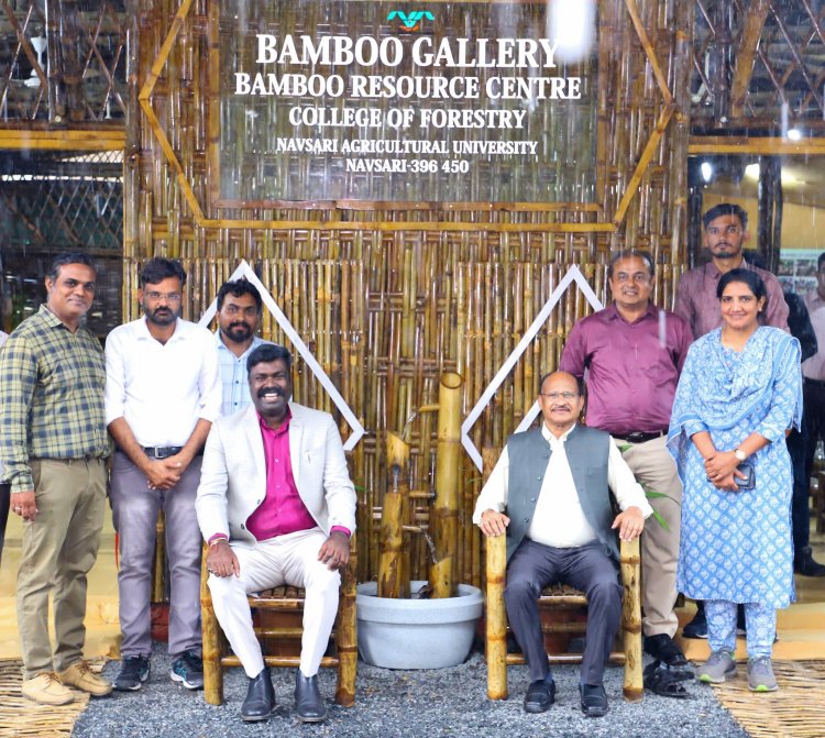 Celebrating a week-long training program on bamboo.