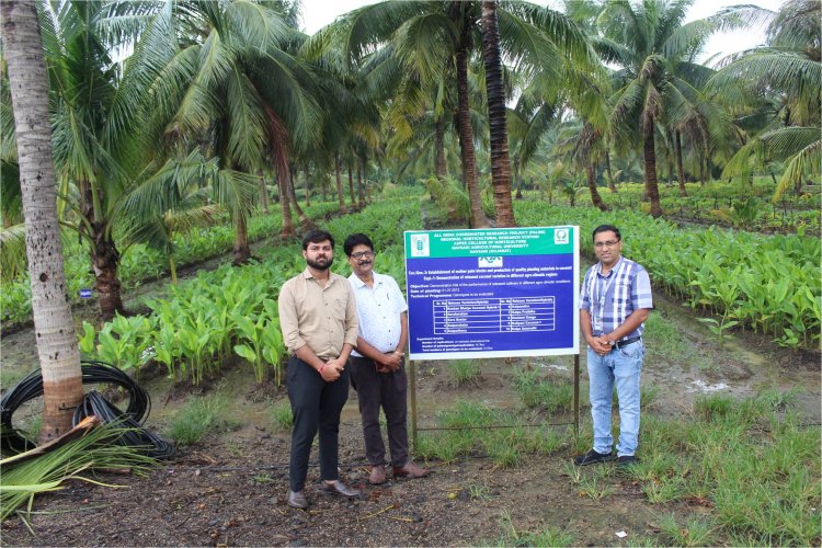 Two days orientation programme on "Production Technology and Value Addition in Coconut" 