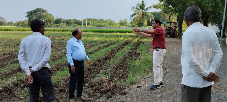 Hon’ble Vice-Chancellor visited Cotton Wilt Breeding Station, Hansot 