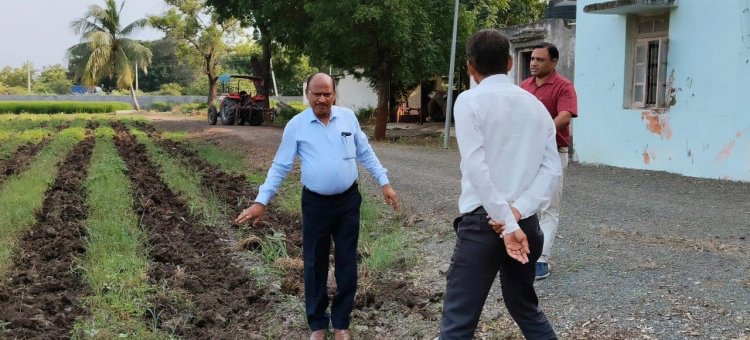 Hon’ble Vice-Chancellor visited Cotton Wilt Breeding Station, Hansot 