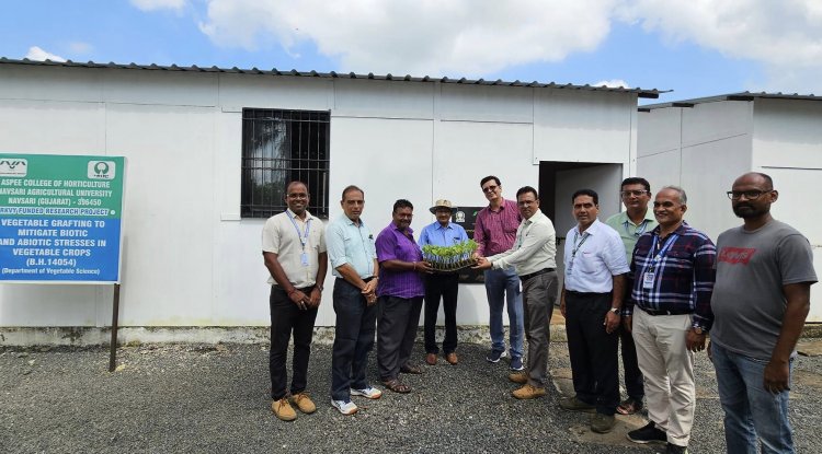 Hon'ble Vice-Chancellor Dr. Z. P. Patel visited the Regional Horticultural Research Station (RHRS), ACH, Navsari 