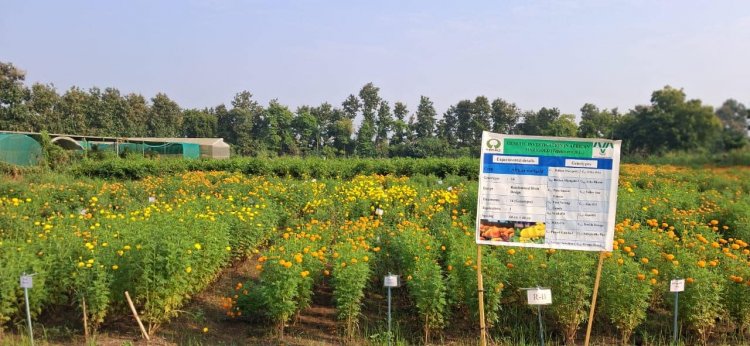 Hon’ble Vice-Chancellor Dr. Z. P. Patel visited Floriculture Research Farm