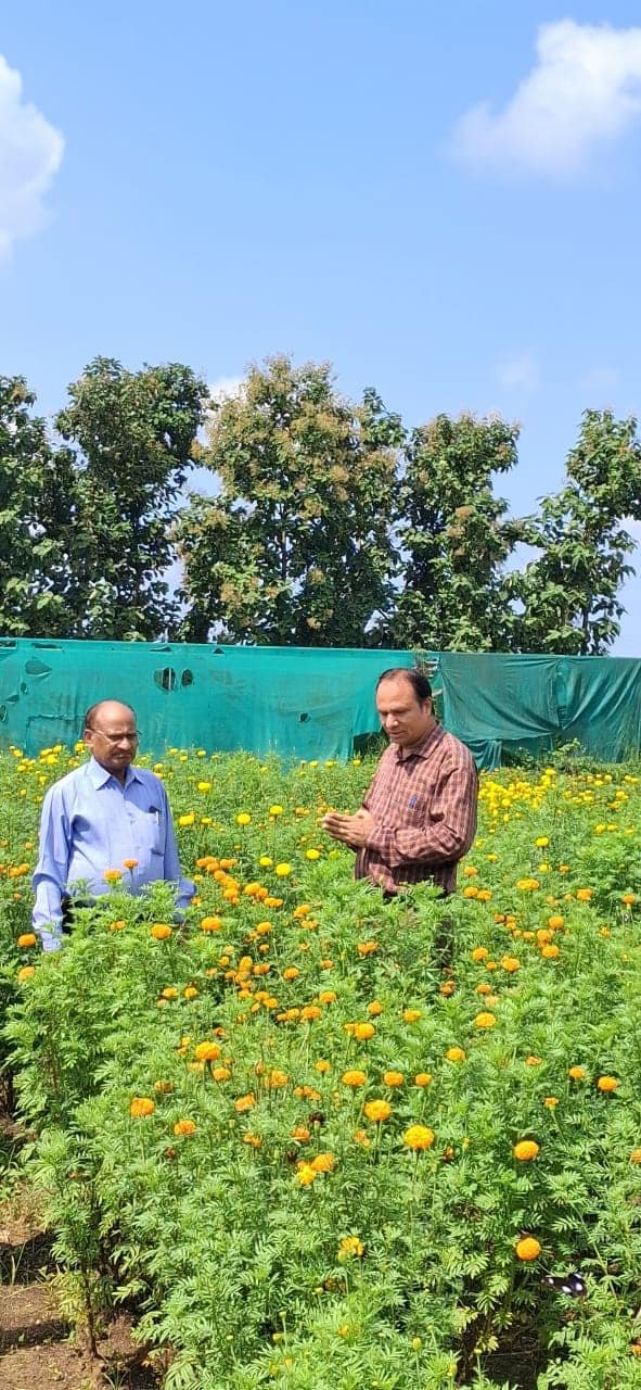 Hon’ble Vice-Chancellor Dr. Z. P. Patel visited Floriculture Research Farm