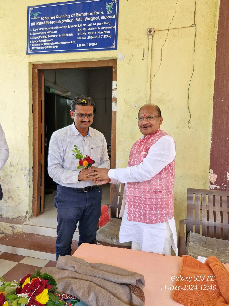 Hon'ble Vice-Chancellor Dr. Z. P. Patel inaugurated the NFSM Seed Storage Godown-2 at Rambhas Farm of Hill Millet Research Station, Waghai