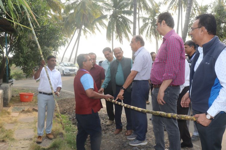 Hon'ble Vice-Chancellor Dr. Z. P. Patel visited Main Sugarcane Research Station, NAU, Navsari.