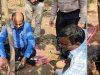 NAU Navsari, under the dynamic leadership of Hon’ble Vice-Chancellor Dr. Z. P. Patel, created a history on February 6, 2025, by successfully extracting latex from rubber plants grown at the Hill Millets Research Station, Rambhas Farm, Waghai. 