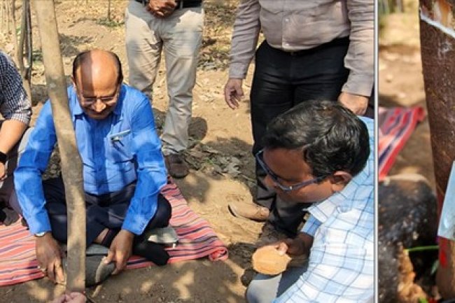 NAU Navsari, under the dynamic leadership of Hon’ble Vice-Chancellor Dr. Z. P. Patel, created a history on February 6, 2025, by successfully extracting latex from rubber plants grown at the Hill Millets Research Station, Rambhas Farm, Waghai. 