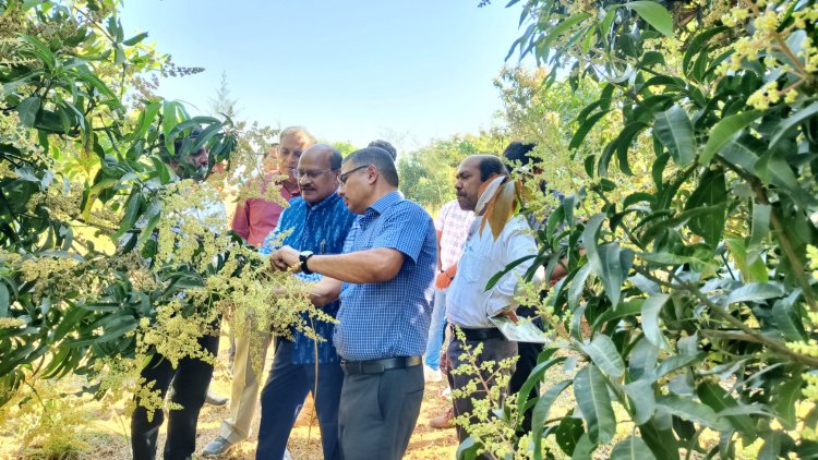 Hon’ble Vice-Chancellor, Dr. Z. P. Patel visited Agriculture Experimental Station, Paria on January 31, 2025. 