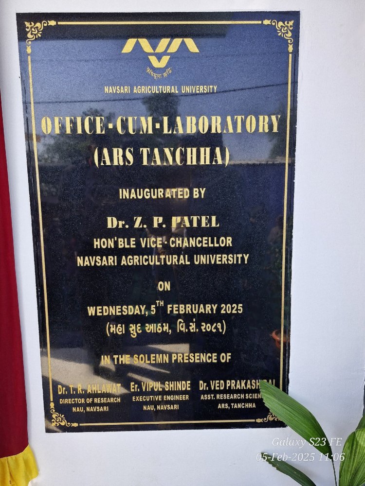 Hon’ble Vice-Chancellor Dr. Z. P. Patel inaugurated newly constructed Office-cum-Laboratory building of ARS, NAU, Tanchha on February 5, 2025. 