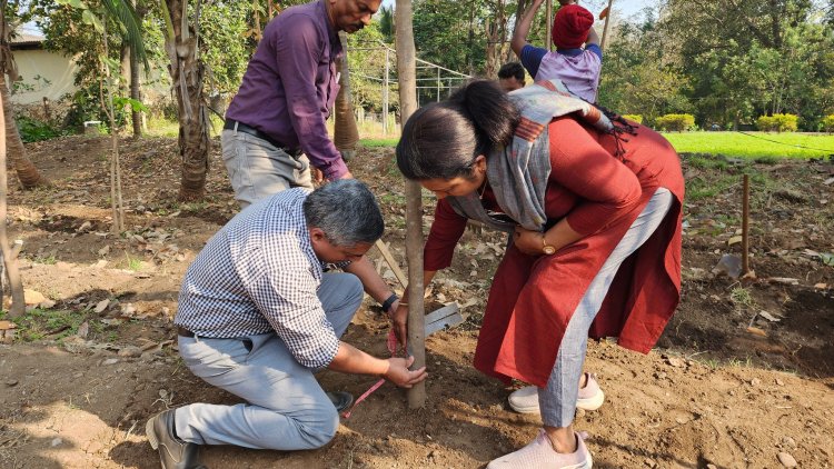 NAU Navsari, under the dynamic leadership of Hon’ble Vice-Chancellor Dr. Z. P. Patel, created a history on February 6, 2025, by successfully extracting latex from rubber plants grown at the Hill Millets Research Station, Rambhas Farm, Waghai. 