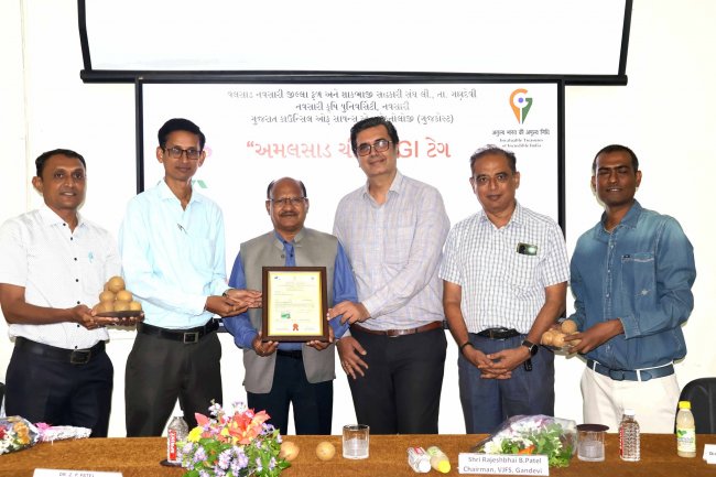 “Amalsad Chikoo” gets first GI tag in South Gujarat