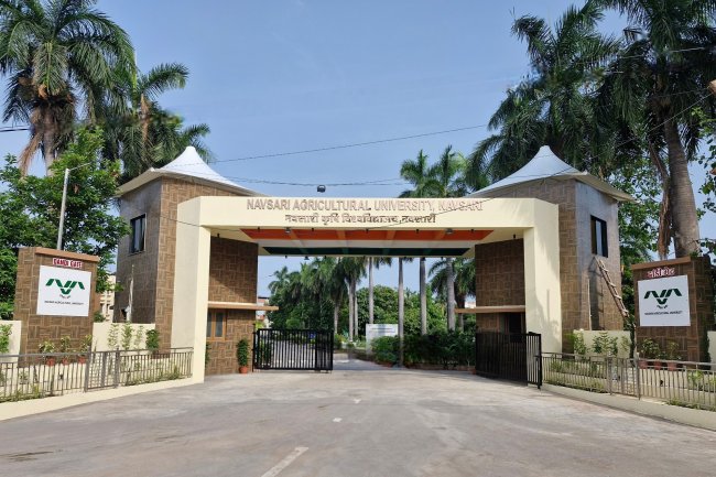 Inauguration of 'Dandi Gate' at NAU Navsari