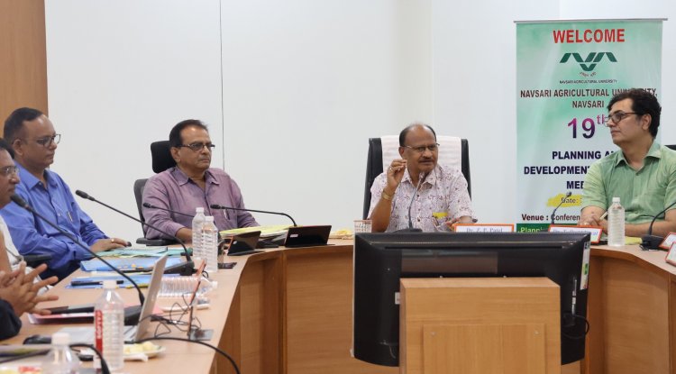 The 19th Planning and Development Committee (PDC) Meeting of the University was held on May 30, 2025