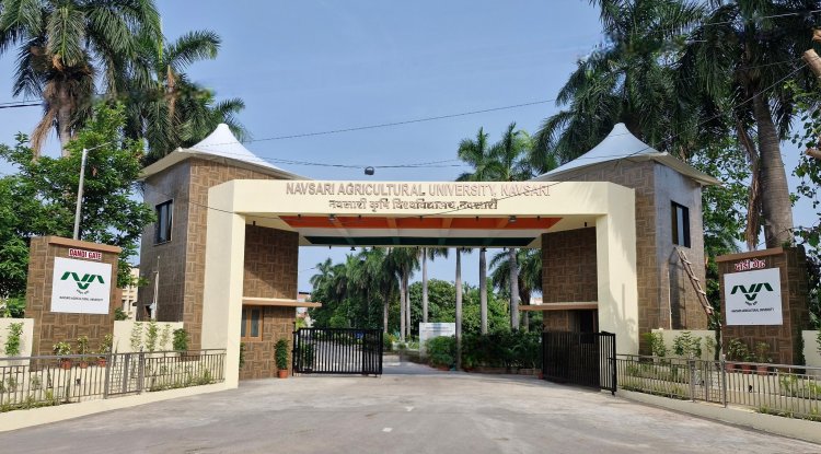 Inauguration of 'Dandi Gate' at NAU Navsari