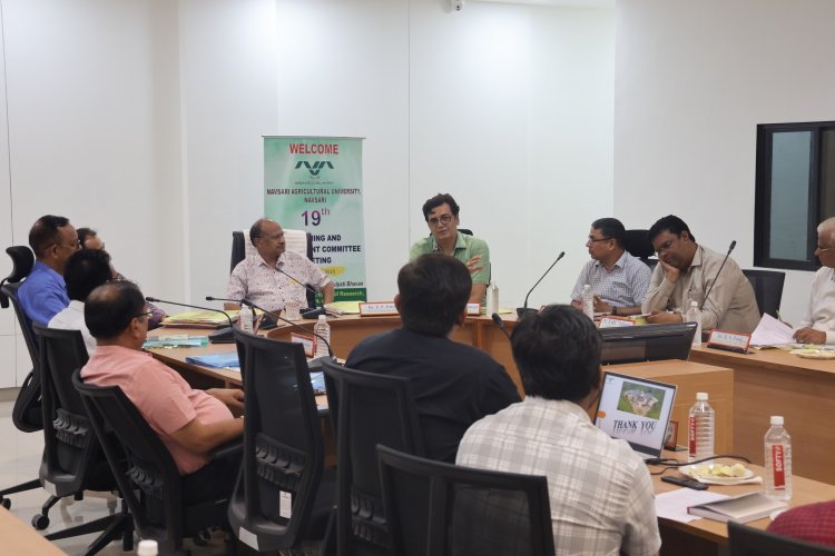 The 19th Planning and Development Committee (PDC) Meeting of the University was held on May 30, 2025