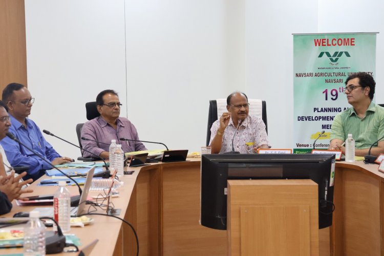The 19th Planning and Development Committee (PDC) Meeting of the University was held on May 30, 2025