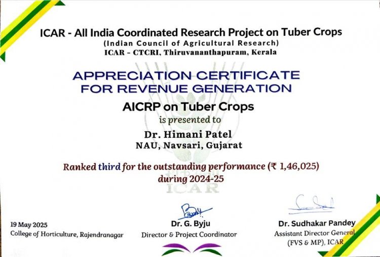 Recognition for Excellence (Appreciation Certificate)