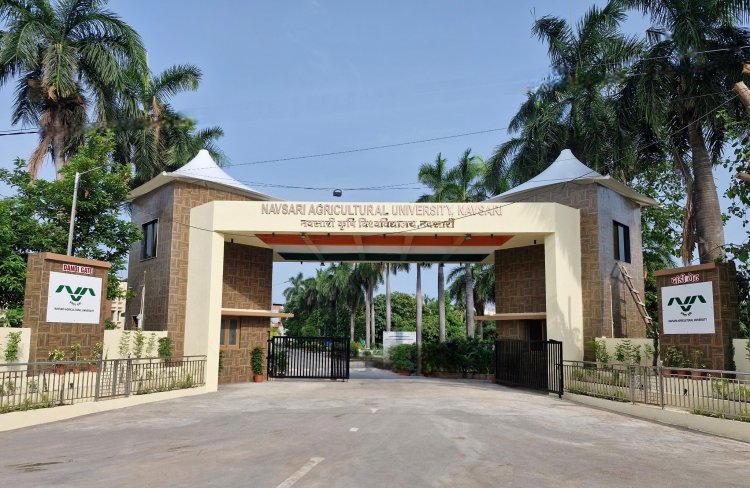 Inauguration of 'Dandi Gate' at NAU Navsari