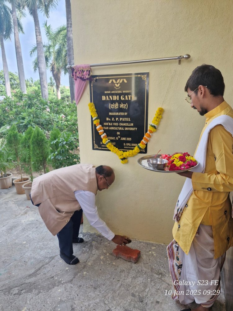 Inauguration of 'Dandi Gate' at NAU Navsari