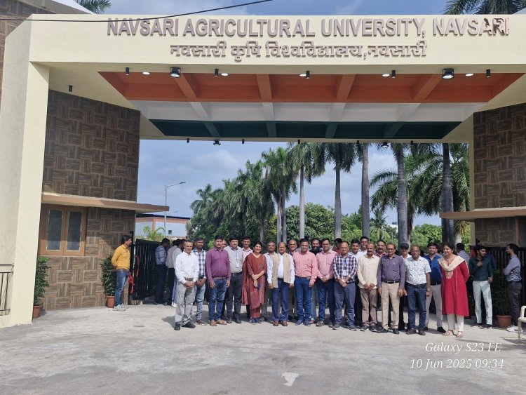 Inauguration of 'Dandi Gate' at NAU Navsari
