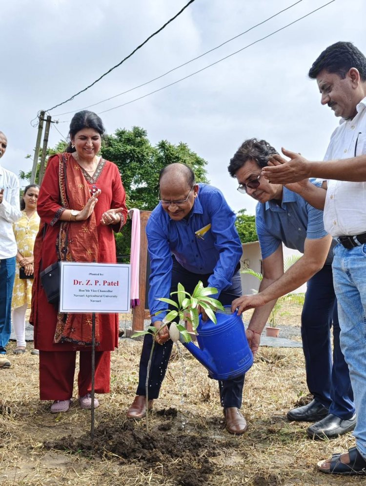 Hon’ble Vice-Chancellor, Dr. Z. P. Patel inaugurated the Horticultural Germplasm Conservation Park at RHRS, ASPEE College of Horticulture, Navsari on 21-07-2025 