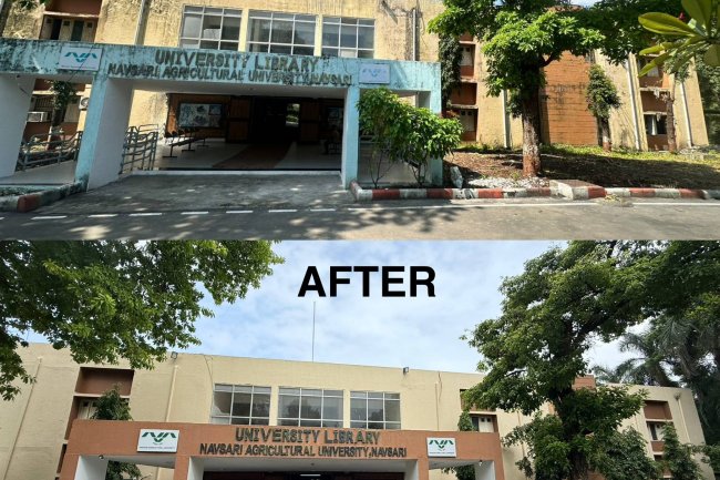 ASPEE College of Horticulture, College of Forestry, ASPEE Agribusiness Management Institute, and the University Library — were renovated with a uniform color scheme