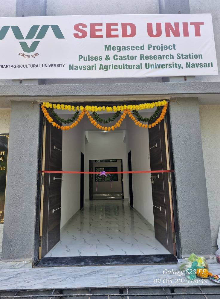 Inaugurated Gujarat’s first-ever medium-term seed conservation facility, “Seed Bank,” along with a “Seed Storage Godown” at Megaseed (Project)