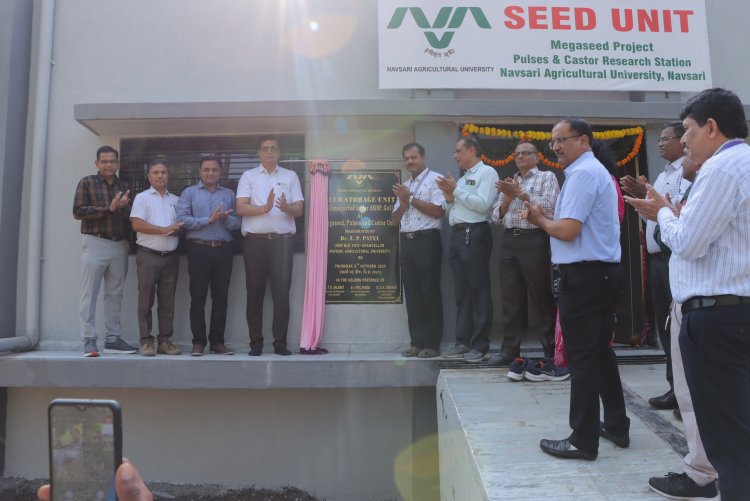 Inaugurated Gujarat’s first-ever medium-term seed conservation facility, “Seed Bank,” along with a “Seed Storage Godown” at Megaseed (Project)