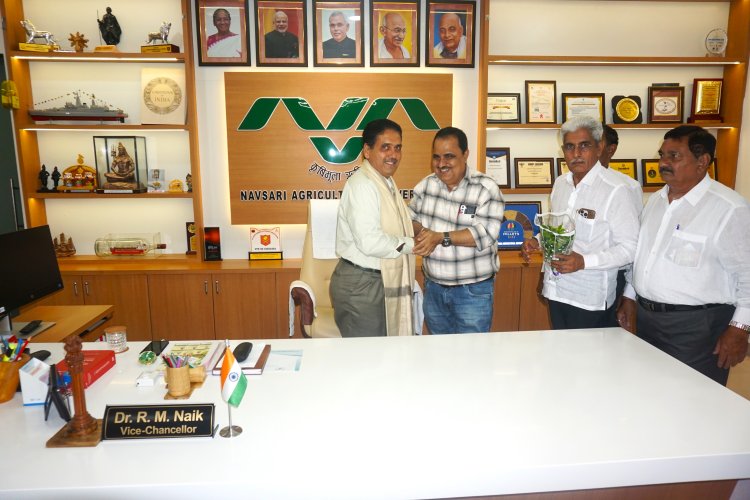 Dr. R. M. Naik, Hon’ble Vice-Chancellor, Navsari Agricultural University (NAU), Navsari was warmly felicitated by distinguished dignitaries of the Navsari District Chamber of Commerce & Industry.