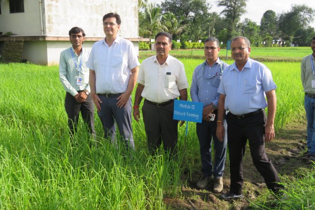 Hon’ble Vice-Chancellor Dr. R. M. Naik, Navsari Agricultural University (NAU), Navsari visited the Rambhas Farm and Rajendrapur Farm of the Hill Millet Research Station, NAU, Waghai on 9th September 2026.