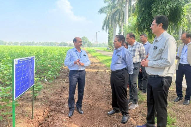 Hon'ble Vice-Chancellor, NAU, Navsari Dr. R. M. Naik visited the Regional Cotton Research Station, Bharuch on 29th September, 2026 along with Director of Research & Dean PG Studies, Dr. Timur Ahllawat; Associate Director of Research, Dr. Vikas Naik and Dr. Lalit Mahatma; Director of Students’ Welfare, Prof. Jaimin Naik; and Dr. D.D. Patel, Principal, COA, NAU, Bharuch. 