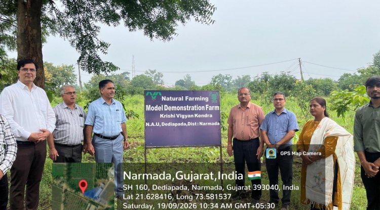 Hon’ble Vice-Chancellor, NAU, Navsari, Dr. R.M.Naik visited the strengthened Natural Farming facilities at Krishi Vigyan Kendra (KVK), Dediapada, Narmada on 19.09.2026.
