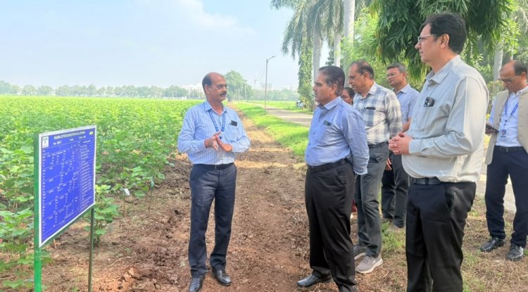 Hon'ble Vice-Chancellor, NAU, Navsari Dr. R. M. Naik visited the Regional Cotton Research Station, Bharuch on 29th September, 2026 along with Director of Research & Dean PG Studies, Dr. Timur Ahllawat; Associate Director of Research, Dr. Vikas Naik and Dr. Lalit Mahatma; Director of Students’ Welfare, Prof. Jaimin Naik; and Dr. D.D. Patel, Principal, COA, NAU, Bharuch. 