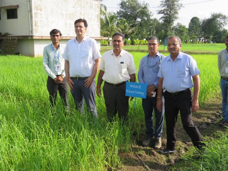 Hon’ble Vice-Chancellor Dr. R. M. Naik, Navsari Agricultural University (NAU), Navsari visited the Rambhas Farm and Rajendrapur Farm of the Hill Millet Research Station, NAU, Waghai on 9th September 2026.