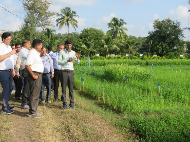 Hon’ble Vice-Chancellor Dr. R. M. Naik, Navsari Agricultural University (NAU), Navsari visited the Rambhas Farm and Rajendrapur Farm of the Hill Millet Research Station, NAU, Waghai on 9th September 2026.