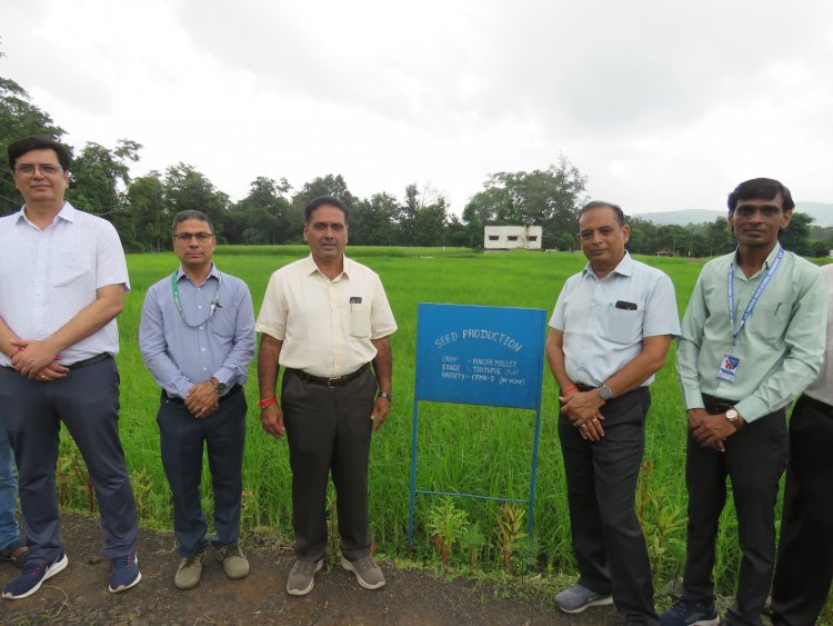 Hon’ble Vice-Chancellor Dr. R. M. Naik, Navsari Agricultural University (NAU), Navsari visited the Rambhas Farm and Rajendrapur Farm of the Hill Millet Research Station, NAU, Waghai on 9th September 2026.