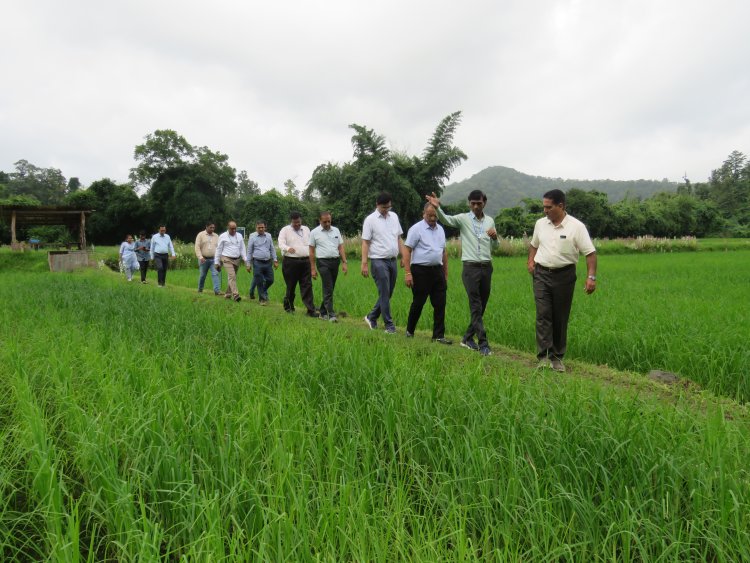 Hon’ble Vice-Chancellor Dr. R. M. Naik, Navsari Agricultural University (NAU), Navsari visited the Rambhas Farm and Rajendrapur Farm of the Hill Millet Research Station, NAU, Waghai on 9th September 2026.