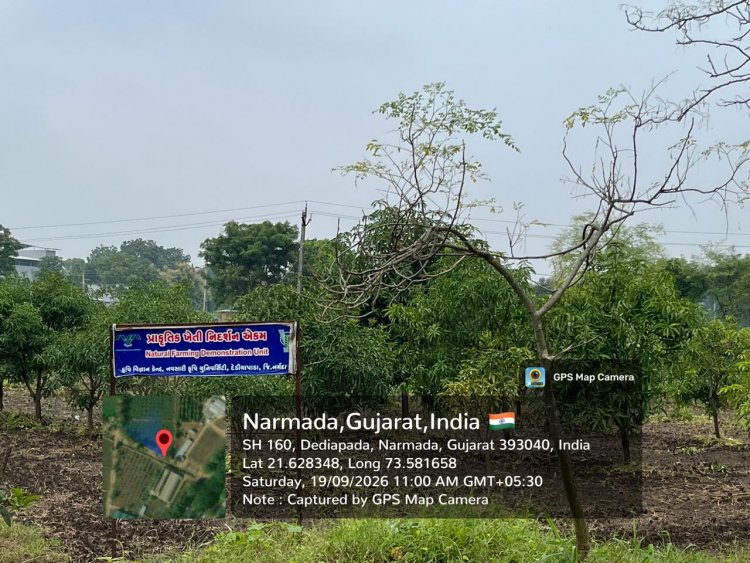 Hon’ble Vice-Chancellor, NAU, Navsari, Dr. R.M.Naik visited the strengthened Natural Farming facilities at Krishi Vigyan Kendra (KVK), Dediapada, Narmada on 19.09.2026.