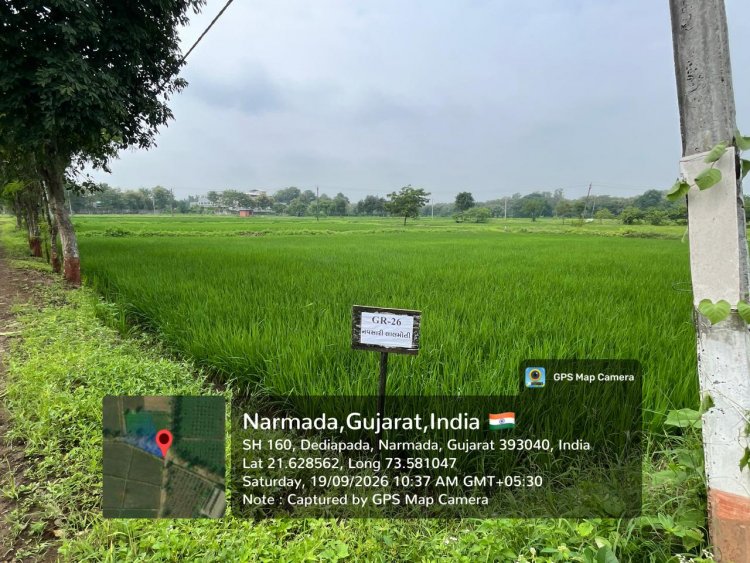 Hon’ble Vice-Chancellor, NAU, Navsari, Dr. R.M.Naik visited the strengthened Natural Farming facilities at Krishi Vigyan Kendra (KVK), Dediapada, Narmada on 19.09.2026.