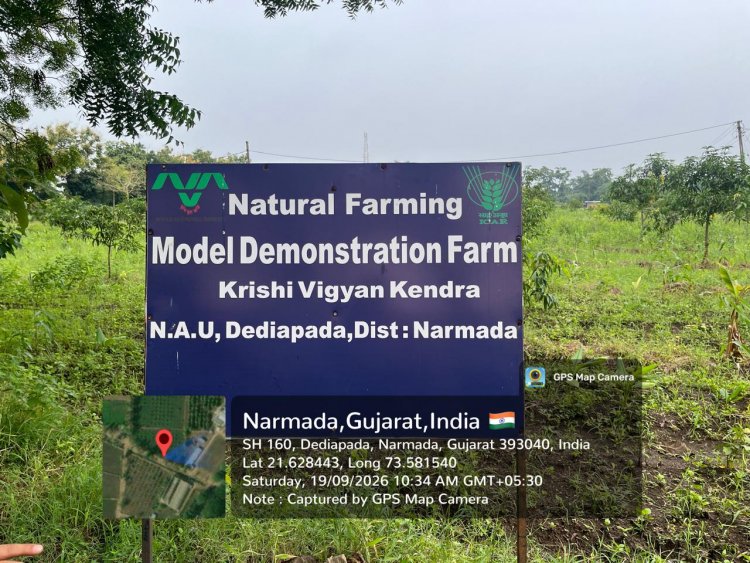 Hon’ble Vice-Chancellor, NAU, Navsari, Dr. R.M.Naik visited the strengthened Natural Farming facilities at Krishi Vigyan Kendra (KVK), Dediapada, Narmada on 19.09.2026.