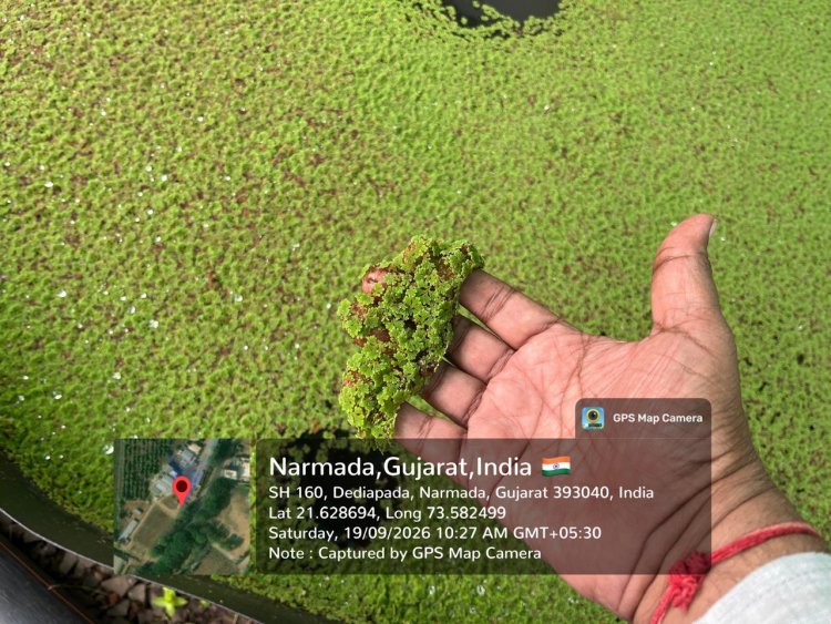 Hon’ble Vice-Chancellor, NAU, Navsari, Dr. R.M.Naik visited the strengthened Natural Farming facilities at Krishi Vigyan Kendra (KVK), Dediapada, Narmada on 19.09.2026.