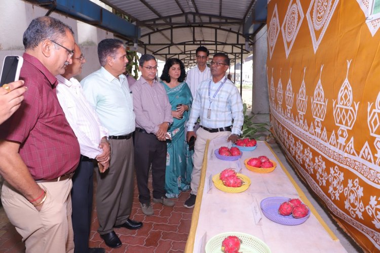 Hon’ble Vice-Chancellor, NAU, Navsari, Dr. R. M. Naik presided over the One-Day Seminar on Kamalam (Dragon Fruit) organised under the Seva Sankalp Abhiyan, by ASPEE College of Horticulture and the State Department of Horticulture on 22nd September 2026 at Navsari Agricultural University, Navsari.