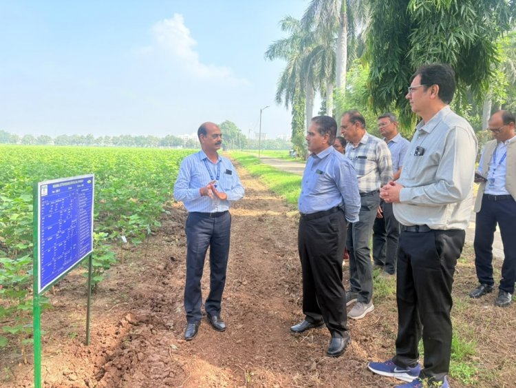 Hon'ble Vice-Chancellor, NAU, Navsari Dr. R. M. Naik visited the Regional Cotton Research Station, Bharuch on 29th September, 2026 along with Director of Research & Dean PG Studies, Dr. Timur Ahllawat; Associate Director of Research, Dr. Vikas Naik and Dr. Lalit Mahatma; Director of Students’ Welfare, Prof. Jaimin Naik; and Dr. D.D. Patel, Principal, COA, NAU, Bharuch. 