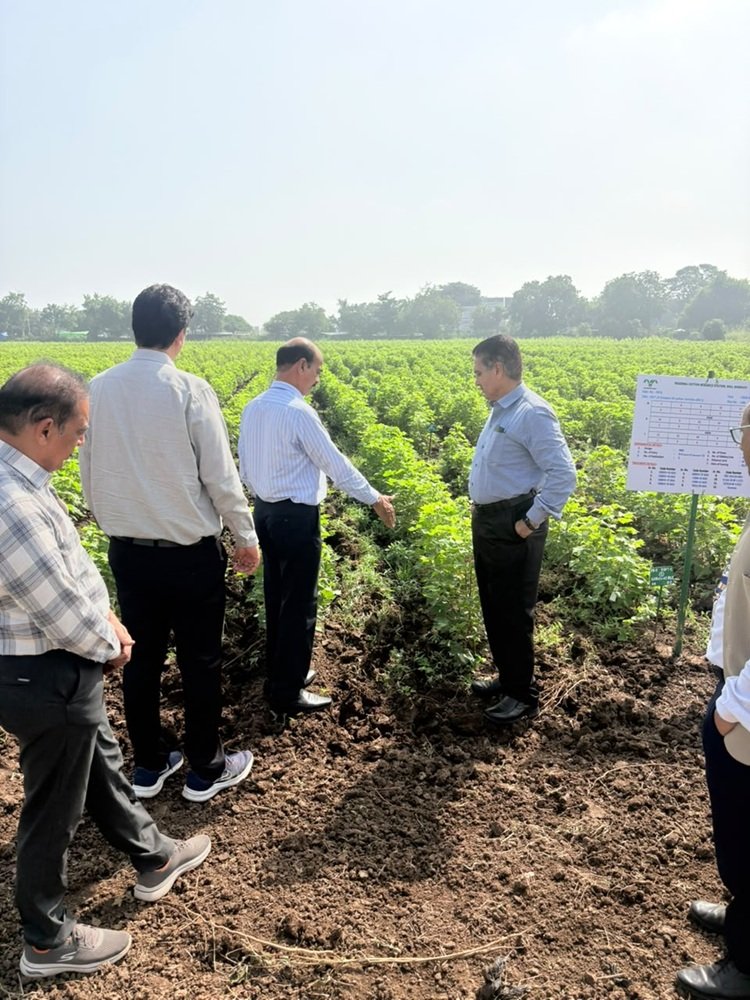 Hon'ble Vice-Chancellor, NAU, Navsari Dr. R. M. Naik visited the Regional Cotton Research Station, Bharuch on 29th September, 2026 along with Director of Research & Dean PG Studies, Dr. Timur Ahllawat; Associate Director of Research, Dr. Vikas Naik and Dr. Lalit Mahatma; Director of Students’ Welfare, Prof. Jaimin Naik; and Dr. D.D. Patel, Principal, COA, NAU, Bharuch. 